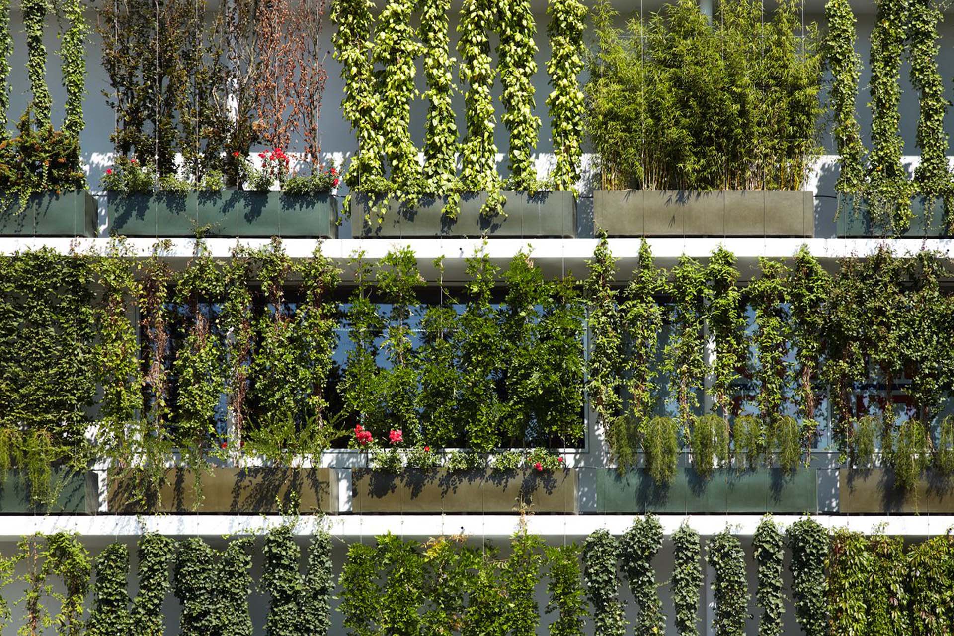 Plant bassins for ground-based facade greening by Jakob Rope Systems