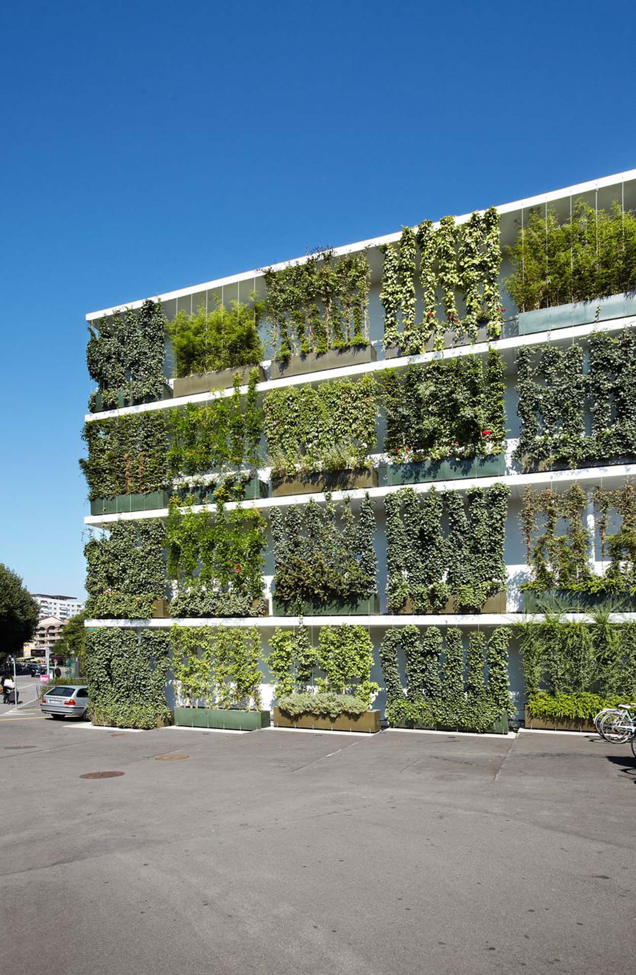 Green wall with steel cables by Jakob Rope Systems