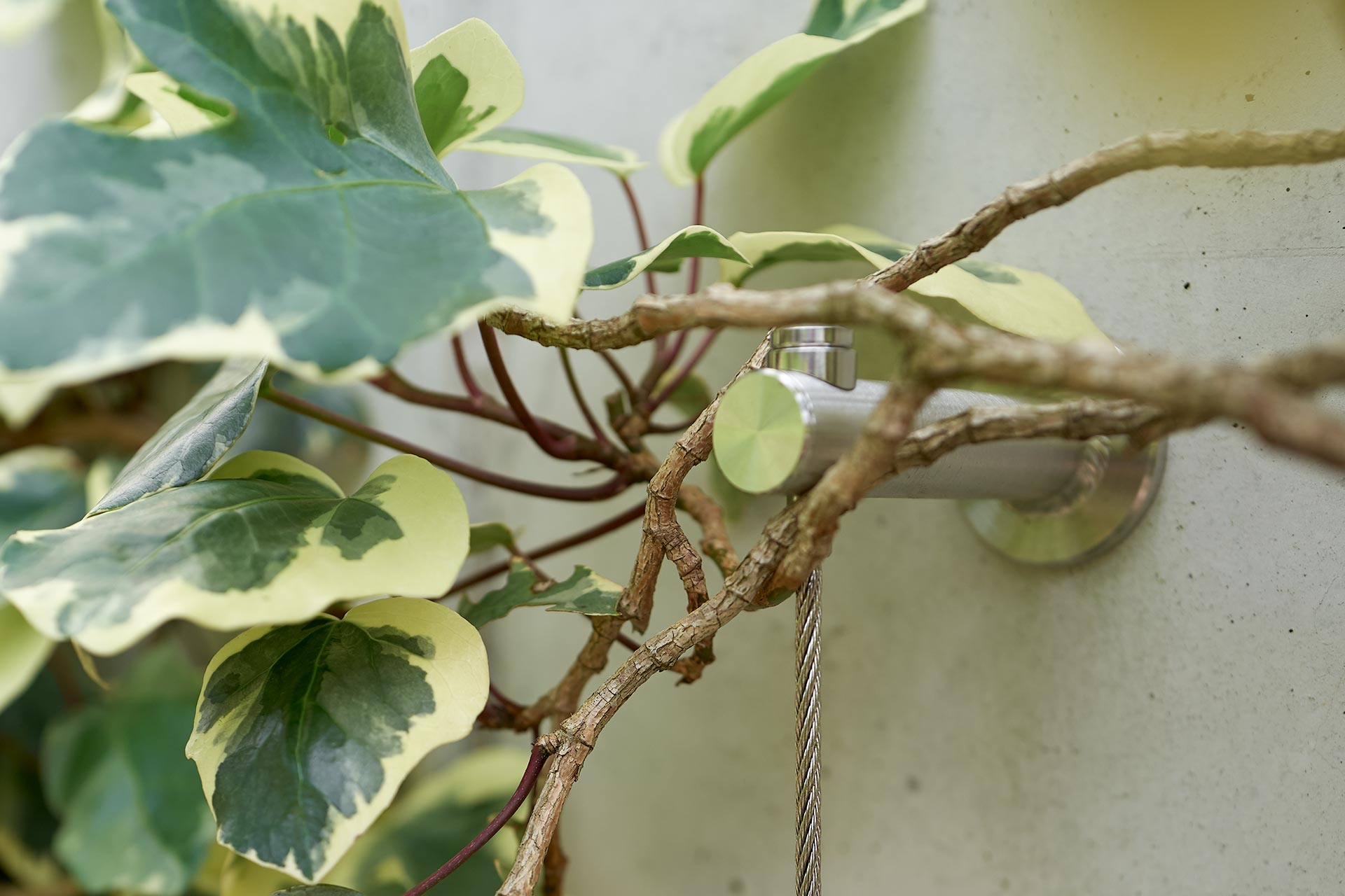 detail of trellis GreenKit with plants