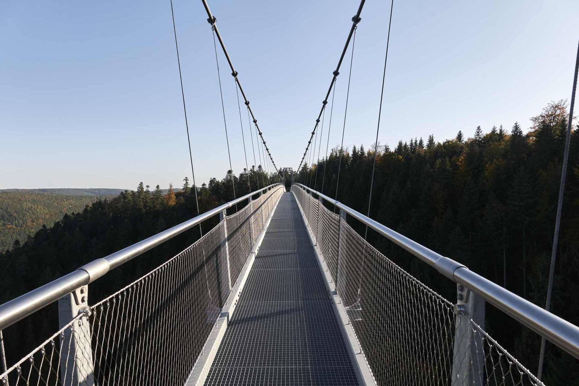 The Wildline bridge is unique as it mounts towards the middle