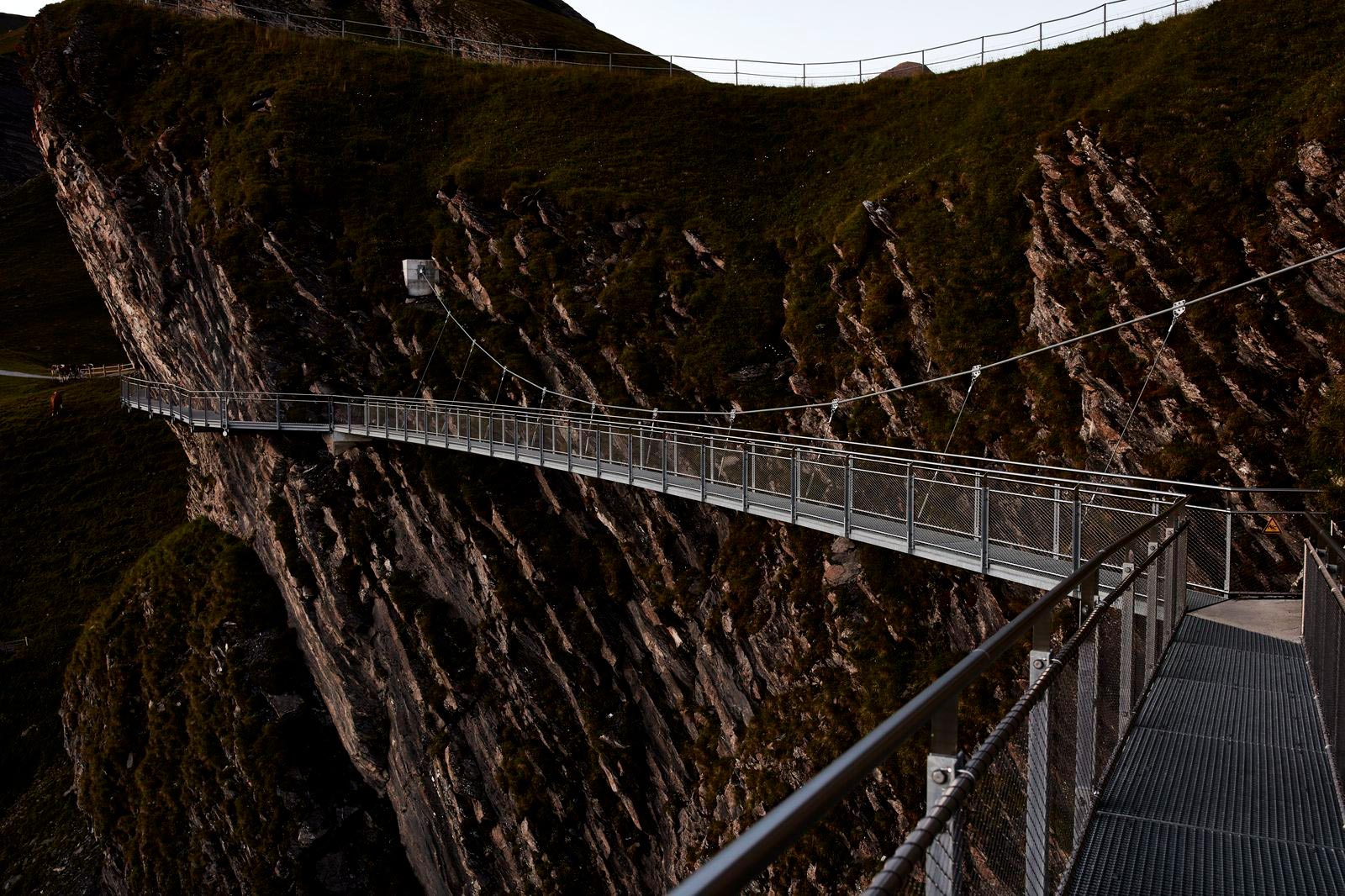 Suspension bridge on the First Cliff Walk with Jakob cables and Webnet Frames