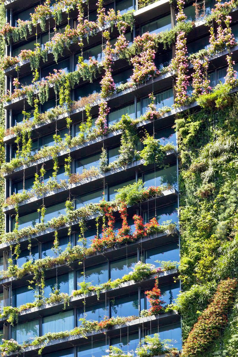 Jakob Green Solutions: Green Facade in Sydney