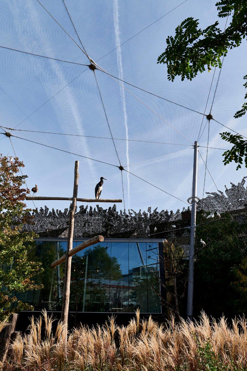 A bird sitting on a pole inside a Jakob Webnet zoo enclosure in Antwerp