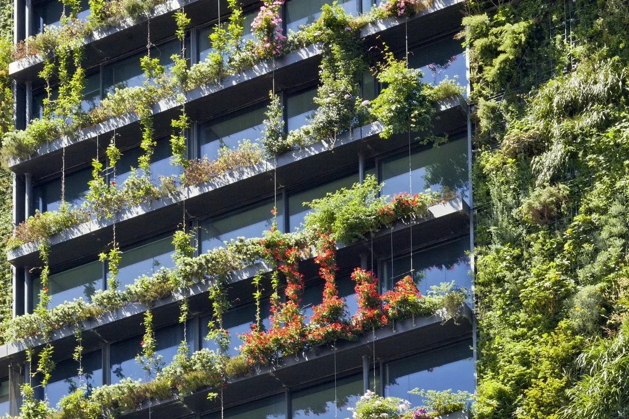 Façades végétalisées