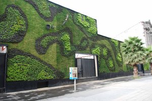 Green wall in Mexico City