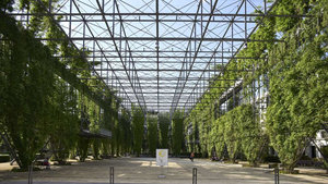 Le parc MFO à Zurich, des structures en acier écologiques
