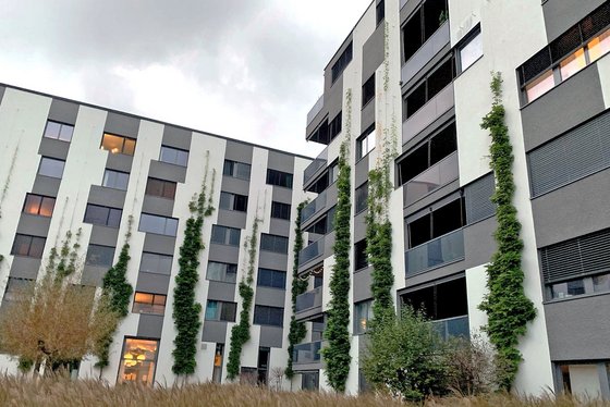Green facades in September 2021.