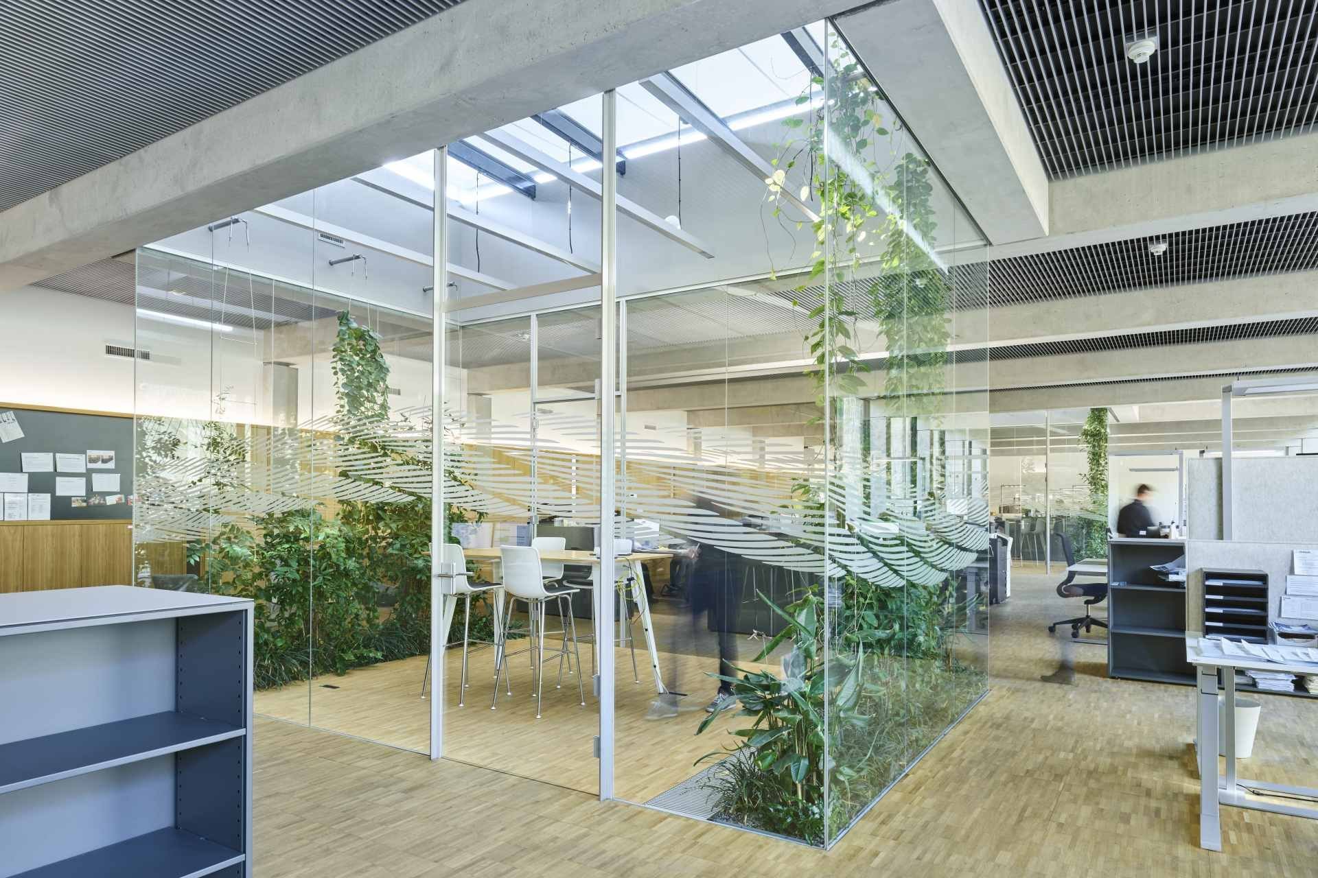 Interior of the new Jakob office with a co-working space and indoor greening