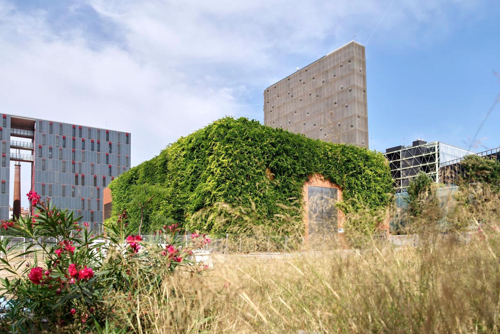 A building with a facade greening by Jakob Rope Systems in Barcelona