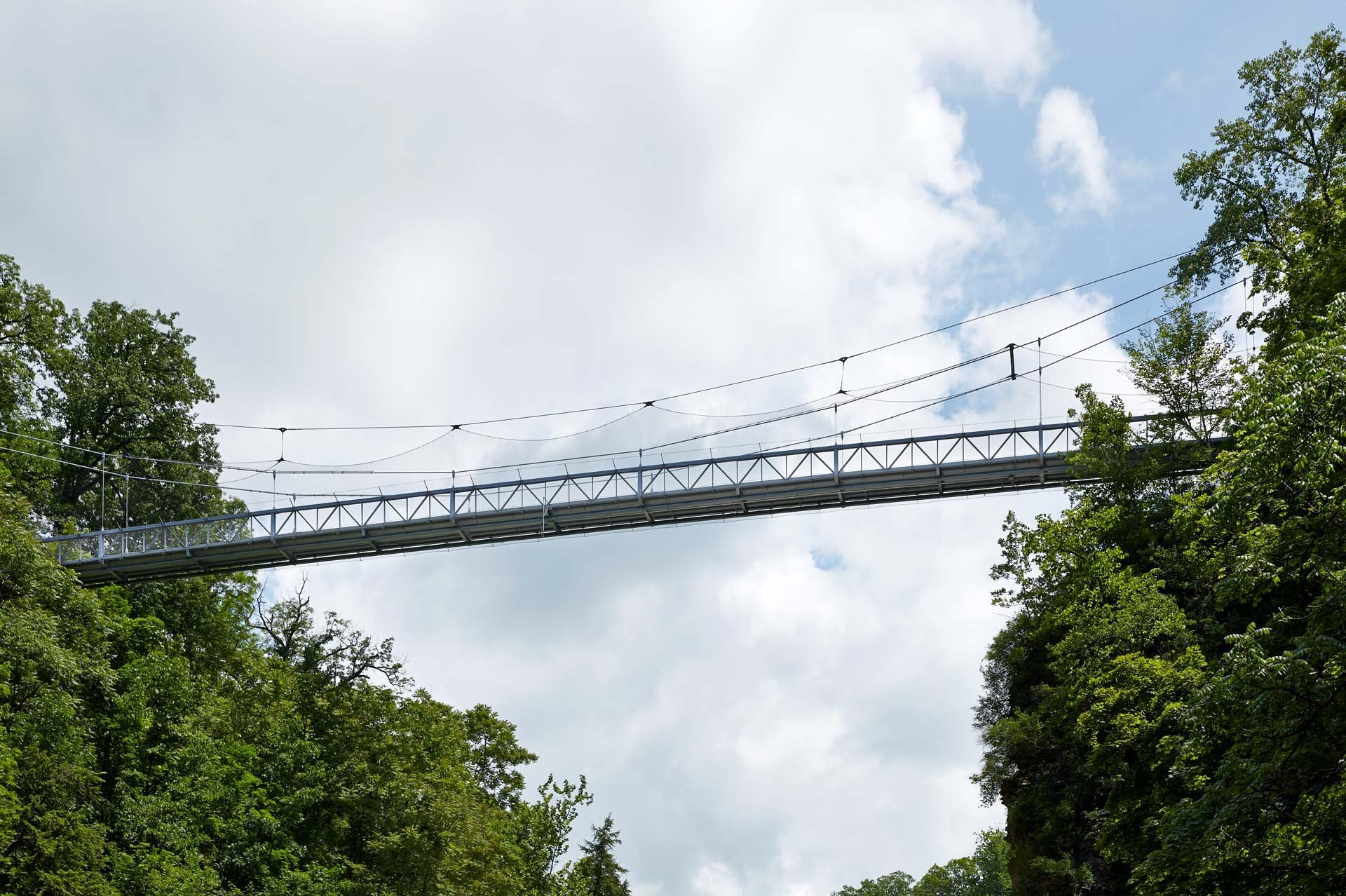 A bridge on the Cornell University Campus with a vertical safety net